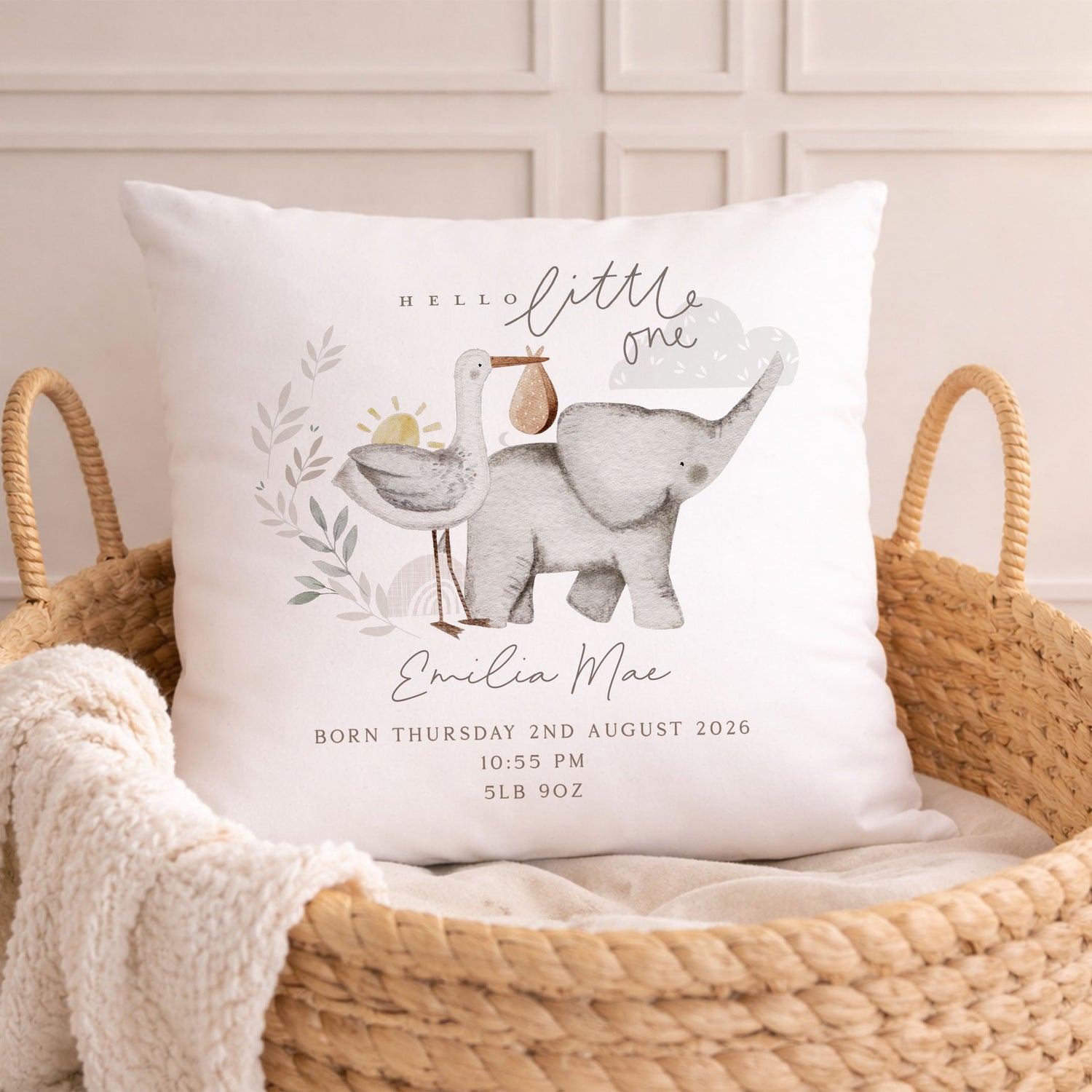 New Baby Cushions