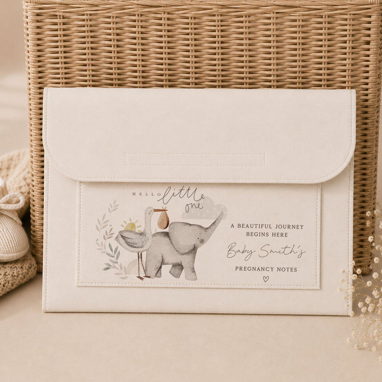 Pregnancy Notes Folder