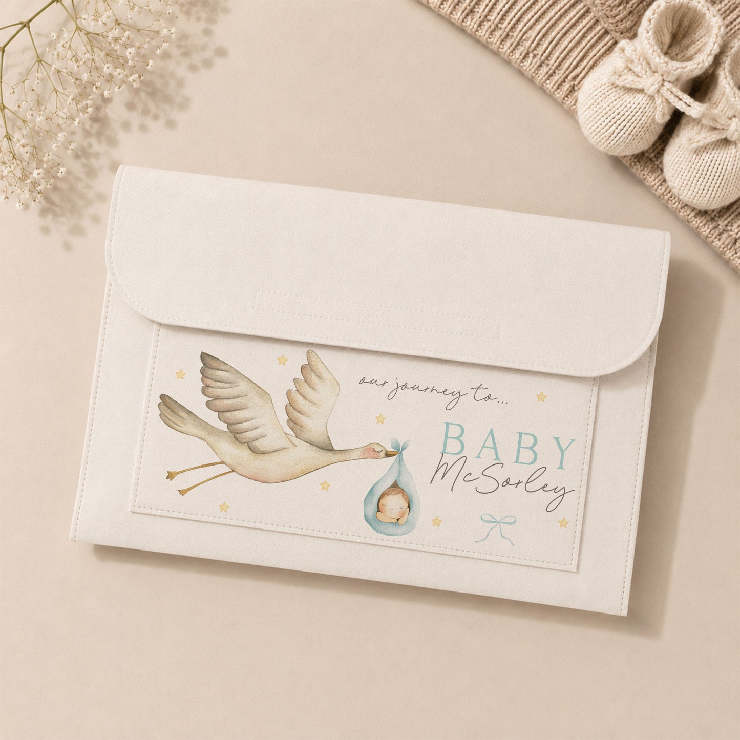 Baby Boys Pregnancy Notes Folder