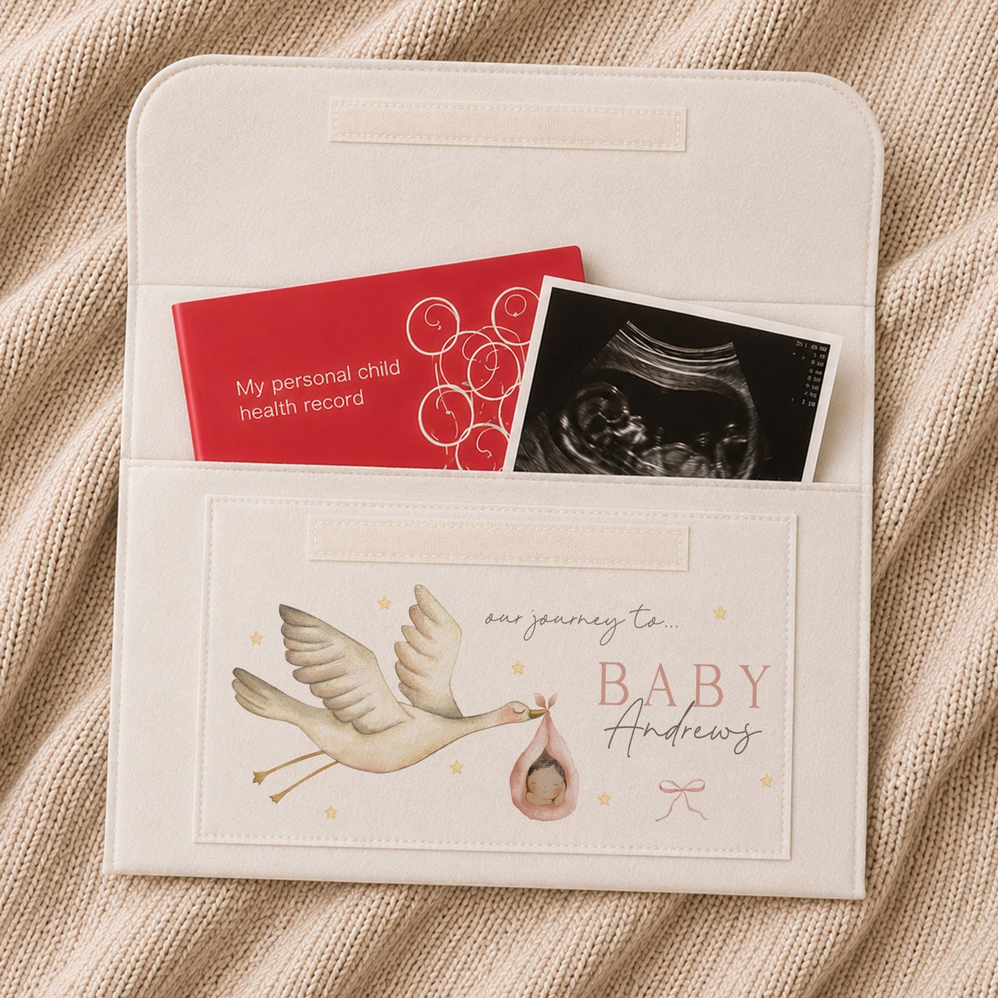 Baby Girl Pregnancy Notes Folder