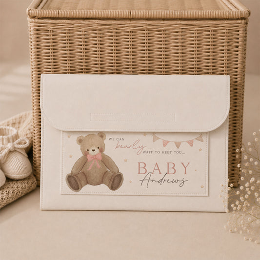 Custom Teddy Bear Pregnancy Notes Folder