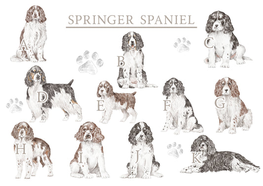 Personalised Springer Spaniel Fleece Printed Pet Blanket