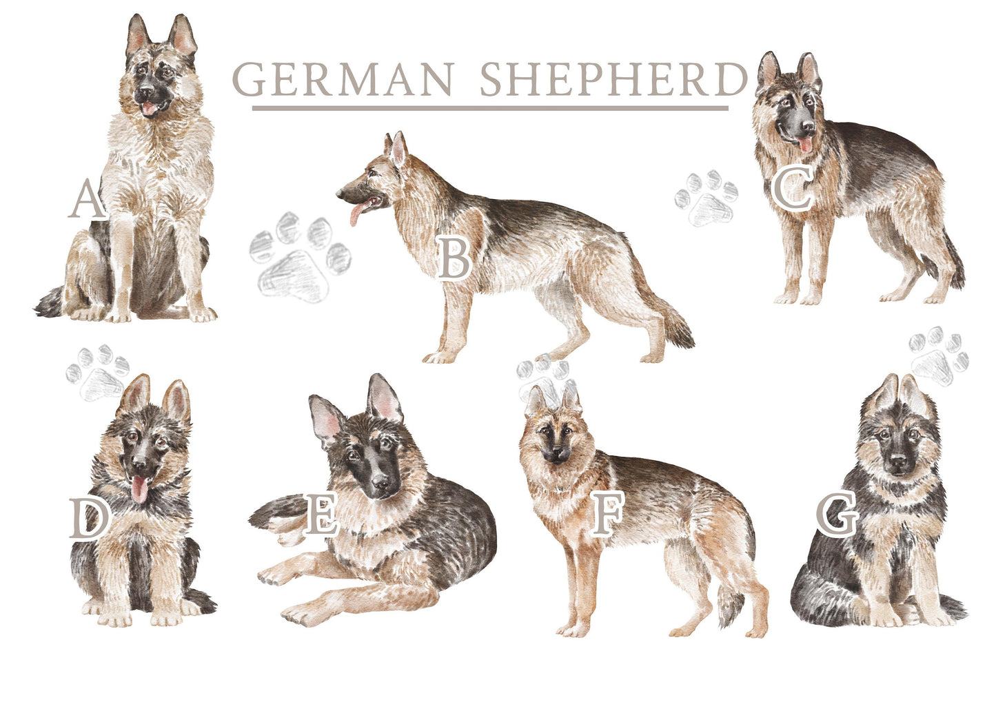 Personalised Sharing the Sofa with German Shepherd Cushion