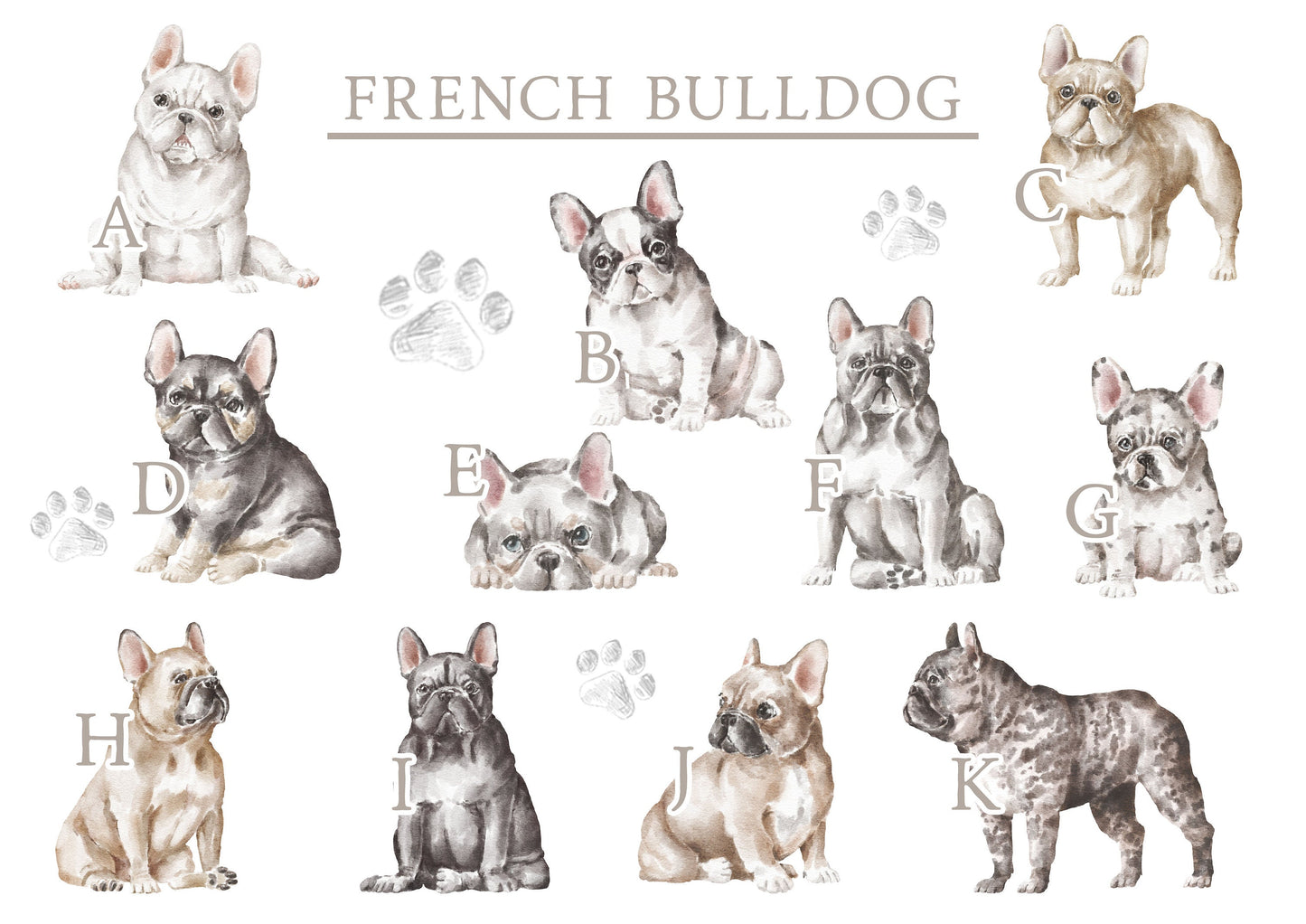 Personalised French Bulldog Fleece Printed Pet Blanket