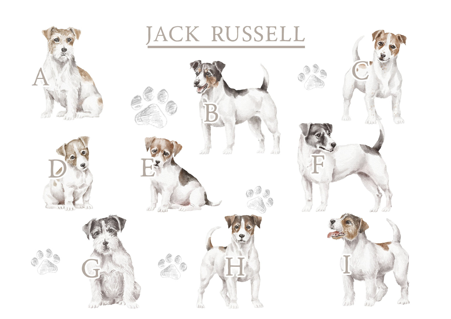 Personalised Sharing the Sofa with Jack Russell Cushion