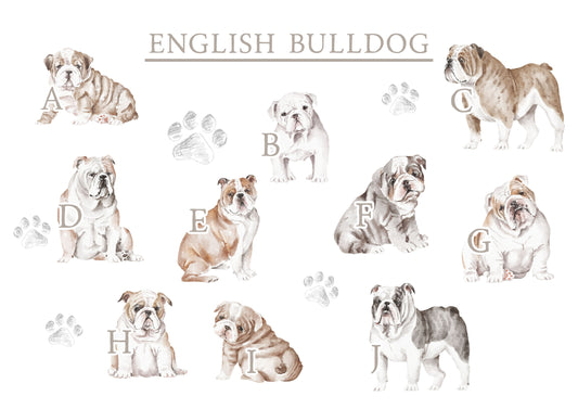 Personalised Sharing the Sofa with English Bulldog  Cushion