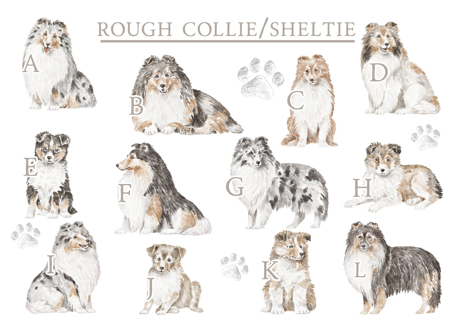 Personalised Sharing the Sofa with Rough Collie Cushion