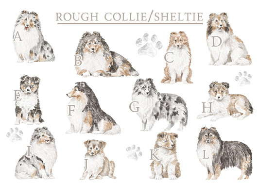 Personalised Sharing the Sofa with Rough Collie Cushion