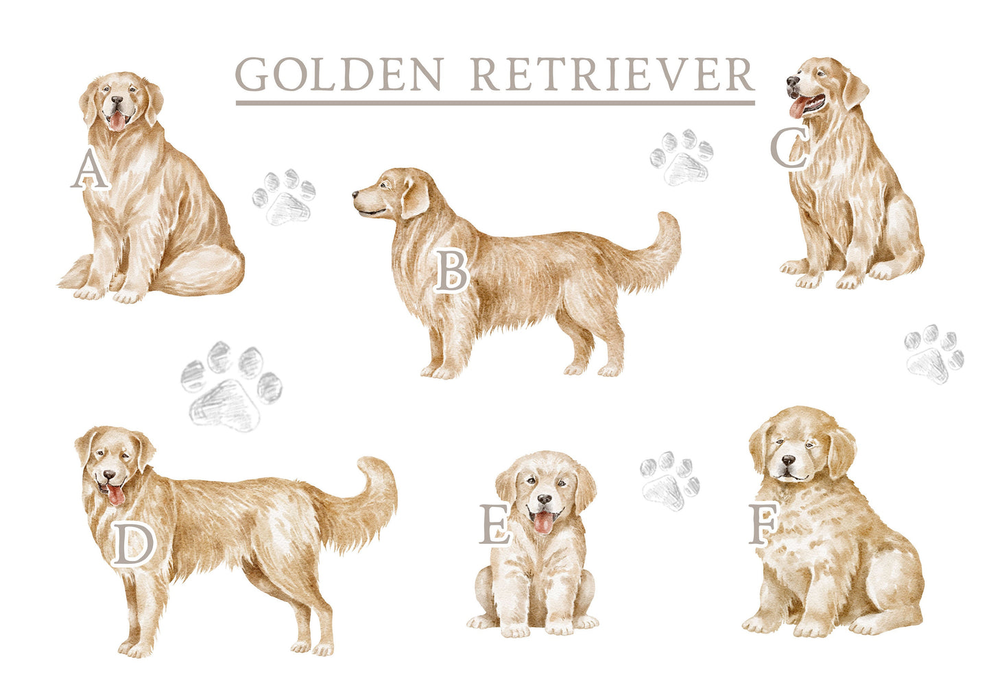 Personalised Golden Retriever Fleece Printed Pet Blanket