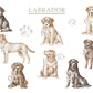 Personalised Labrador Fleece Printed Pet Blanket