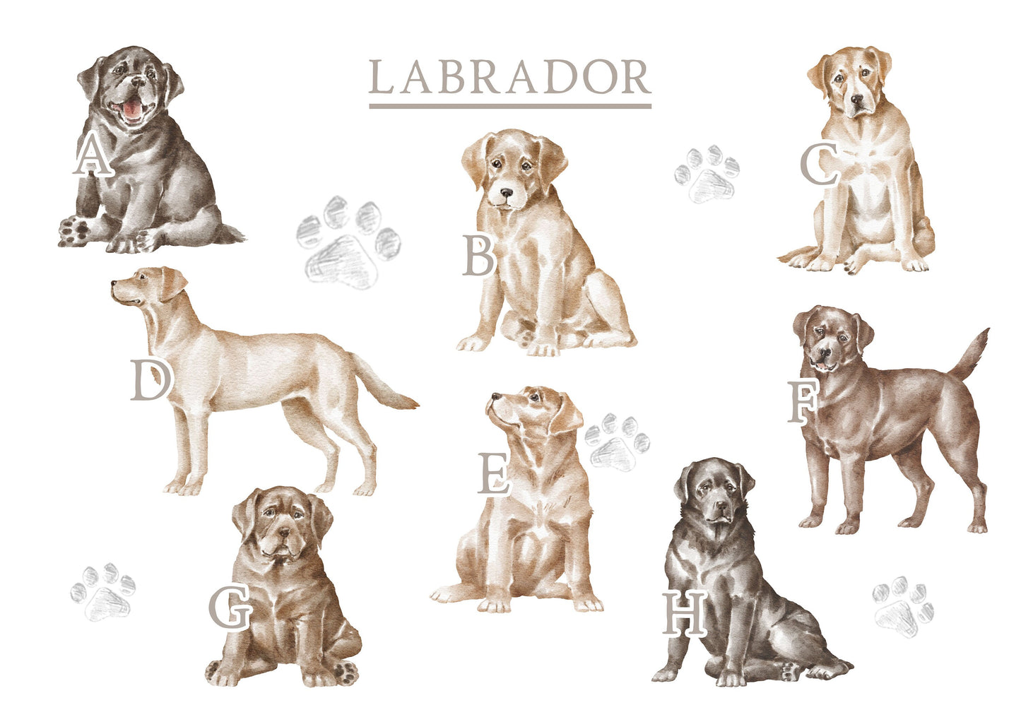 Personalised Labrador Fleece Printed Pet Blanket