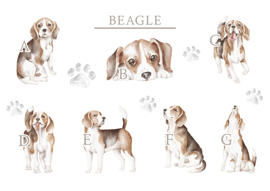 Personalised Beagle Fleece Printed Pet Blanket