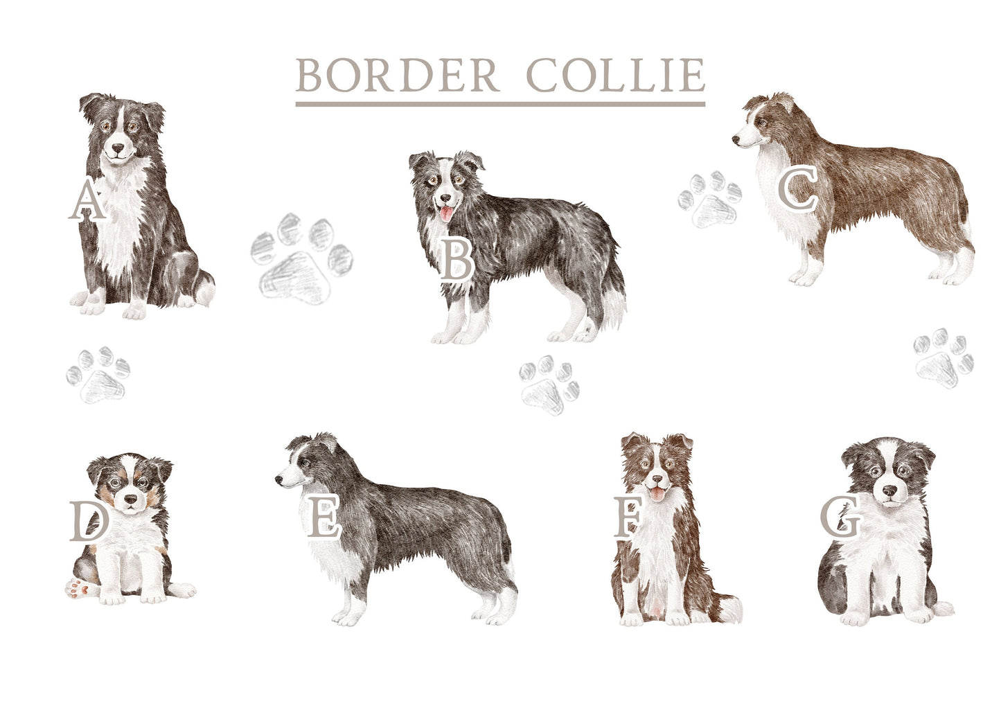 Personalised Border Collie Fleece Printed Pet Blanket