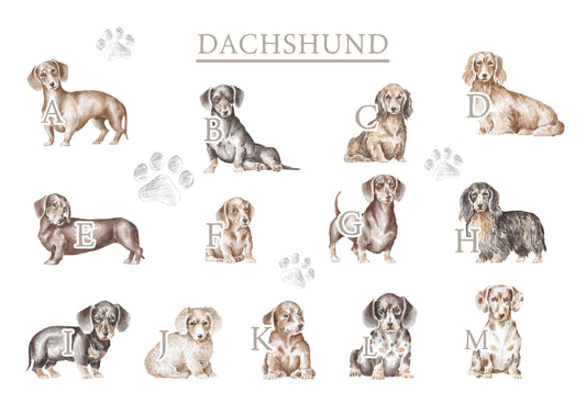 Personalised Dachshund Fleece Printed Pet Blanket