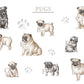 Personalised Pug Fleece Printed Pet Blanket