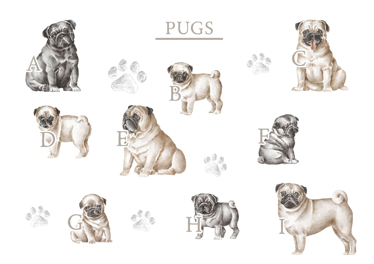 Personalised Pug Fleece Printed Pet Blanket