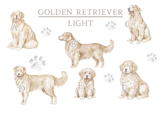 Personalised Golden Retriever Fleece Printed Pet Blanket