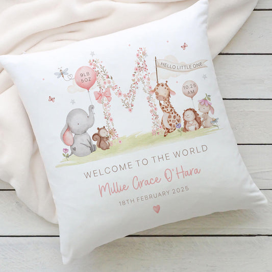 Personalised New Baby Cushion, New Baby Girl Gift, Welcome Baby Girl, Nursery Decor, Baby Girl Nursery Pillow, Personalised Name Birth Stats